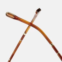 Mó ROMAINE SUNcarey -Mo 43290395 3